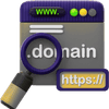 Domain and DNS
